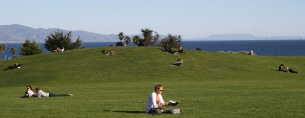 Students studying on West Campus lawn on sunny day